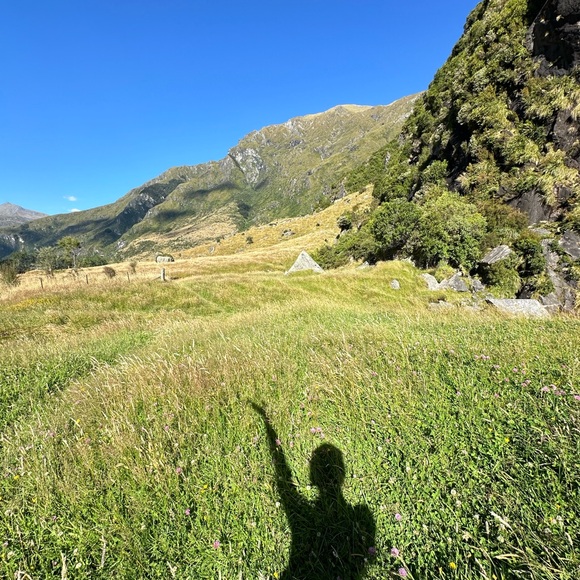 Meet your Posher, Katalin - Picture 4 of 5